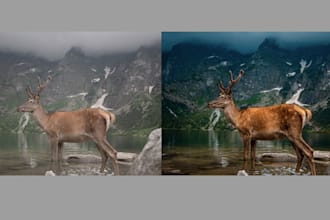 do professional photo editing and color grading
