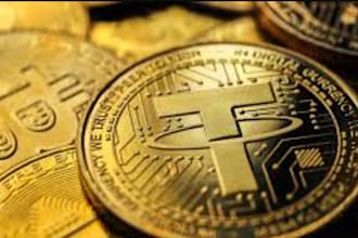 setup profitable real bitcoin , btc and usdt fast for you