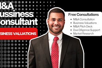 deliver an expert business valuation report