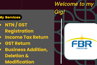 provide professional income and sale tax return filing with fbr pakistan