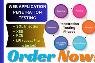 do penetration testing for website, API and cloud, vulnerability and pen test