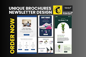 setup klaviyo newsletter, klaviyo template, klaviyo flow
