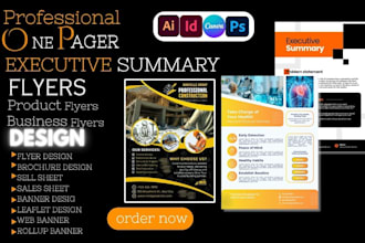 design one pager executive summary, investment teaser, infographics, sales sheet