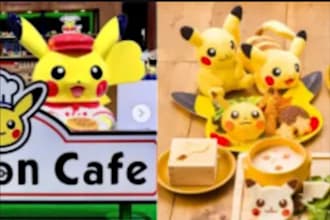 pokemon, digimon, original monster pokemon cafe nintendo pokemon