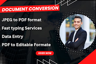 do pdf, word accurate data typing, file conversion and hand writing services