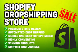 build an optimised shopify dropshipping store with winning products
