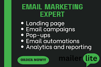 mailerlite landing page form, newsletter, email template design automation