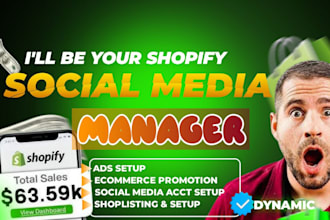 facebook instagram tiktok manager, ads management, ecommerce promotion