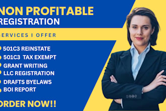 do non profit registration llc boi report  501c3 reinstatement  bylaws ein