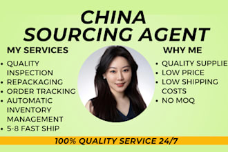 be professional dropshipping agent best price global ship
