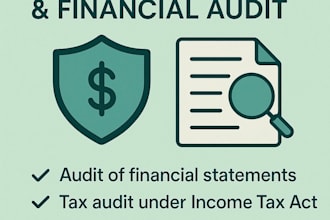 conduct tax audits and prepare financial audit reports