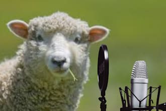 be your male voice over actor for your animation or videogame