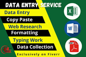 do accurate data entry, form filling, and ms excel work