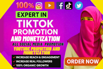 grow and promote your tiktok account organically tiktok promotion monetization