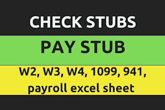 make paystub, paycheck, adp pay stubs, payroll report w2 w3 payslip