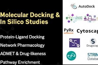 do molecular docking, network pharmacology and in silico drug discovery analysis