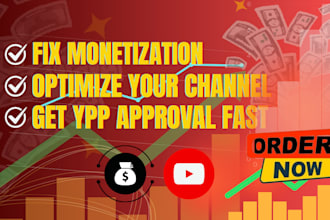 fix youtube monetization issues, optimize your channel, and get partner program