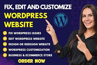 rebuild, fix, update, modify, edit wordpress website, wordpress customization