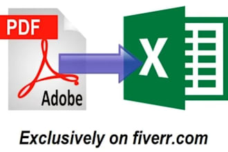 convert pdf to word, pdf to excel or data entry in 24 hours