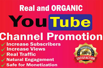 professional youtube video promotion with SEO optimization