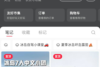 help brands break into the chinese market rednote fast and effectively