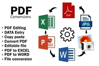 fast and accurate data entry word, excel, image to PDF and word