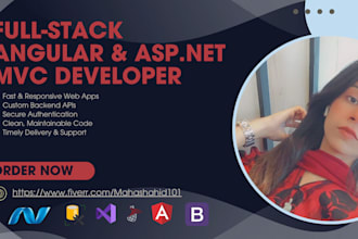 develop asp net core and angular web application