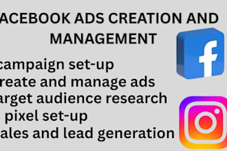 set up facebook and instagram ads campaign for your business