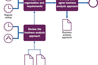 business analyst for documentation, dashboards and reporting insights