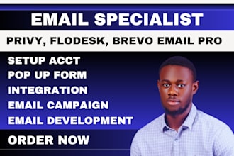 be your email marketing expert for brevo, privy, flodesk