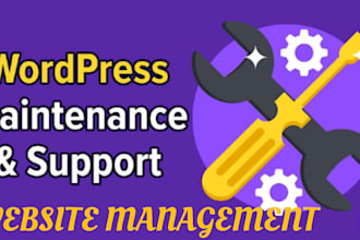 manage maintain and consult on your wordpress website fast secure seo ready