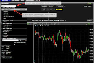build automated interactive brokers bot, alpaca bot, quantconnect, fidelity bot