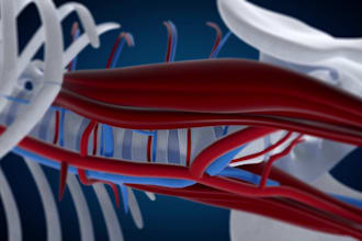 do 3d dental implant animation medical videos and surgical procedure visual
