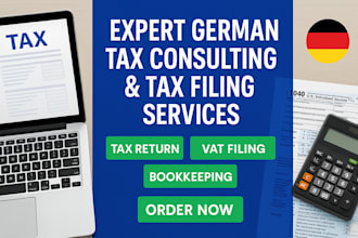 provide expert german tax consultancy and tax return services