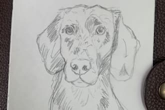 draw quick pencil sketches from your concept or photo