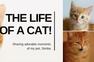 write creative and catchy instagram captions for your page