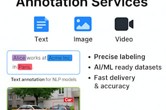do data annotation for text images and videos