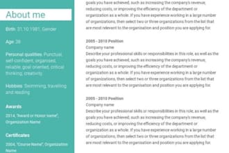 provide professional healthcare medical and nursing resume CV writing service