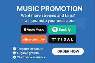 do usa spotify music apple music soundcloud music, youtube music promotion