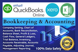 do cleanup setup catchup reconciliation excel bookkeeping in quickbooks xero