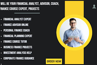 be your financial analyst, advisor, coach, finance course expert, projects