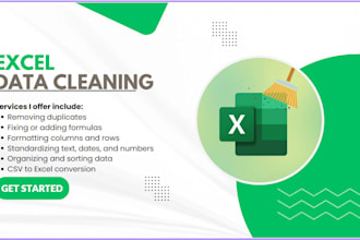do excel data cleaning, identify missing data, format, and organize data