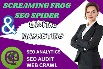 provide full screaming frog SEO spider technical audit and web analysis