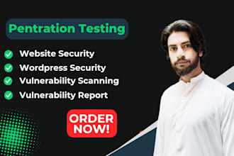 do website pentration testing and vulnerability assessment