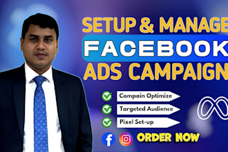 setup facebook ads campaign, meta ads, instagram ads, and fb ads campaigns