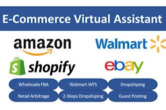 expert virtual assistant for ebay,walmart,and amazon