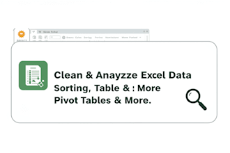 analyze, organize, data cleaning and create pivot tables