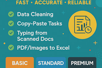do data entry, file conversion and research tasks