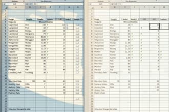 clean, format, and organize your data in excel, CSV, or google sheets