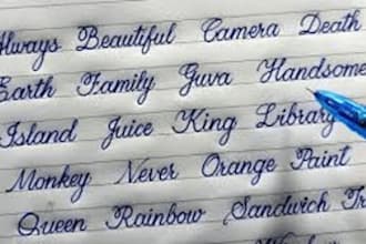 gracefully handwrite any documents, study notes and letters for you
